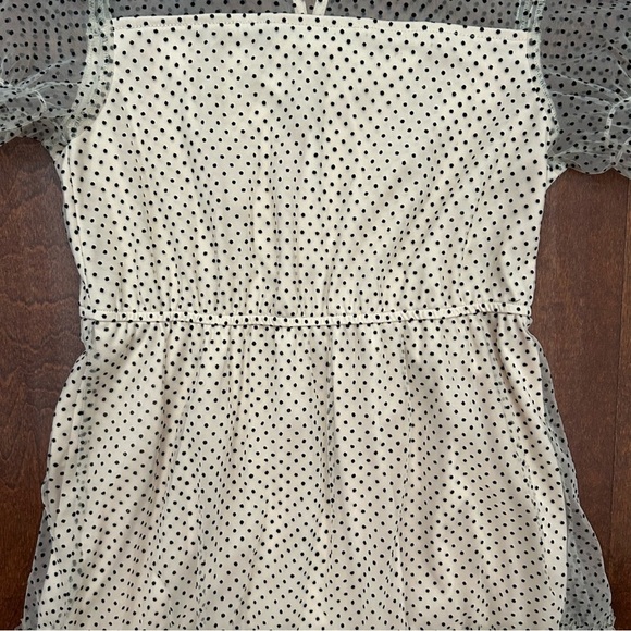Poppies and Roses Velvet Polka Dot on Beige Netting Kids Dress, Size Large - Picture 7 of 14